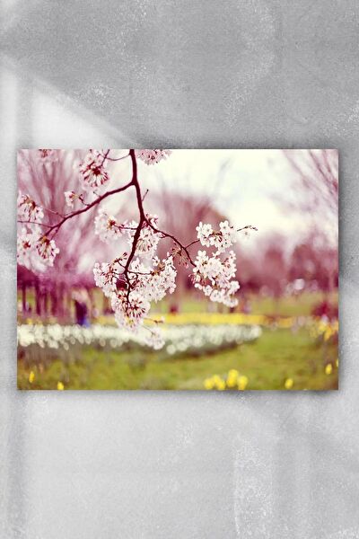 Postermanya Çerçevesiz Tablo