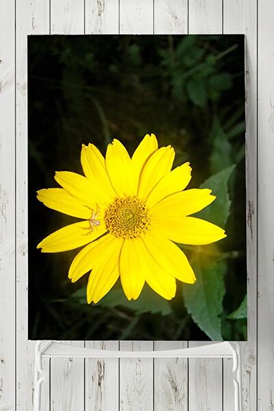 Postermanya Çerçevesiz Tablo