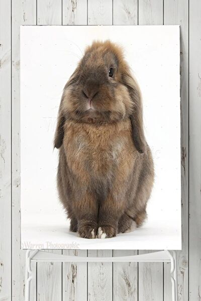 Postermanya Çerçevesiz Tablo