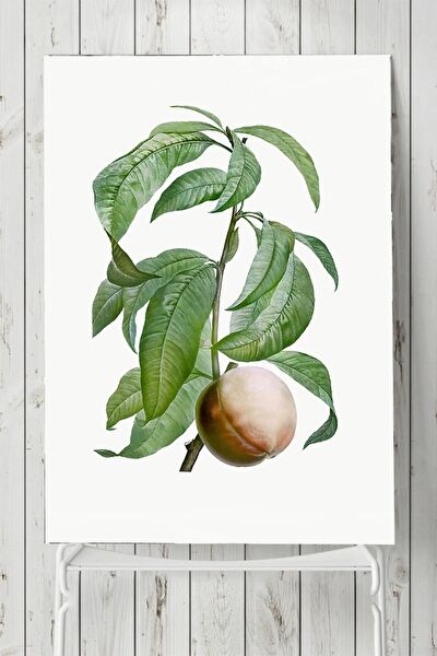 Postermanya Çerçevesiz Tablo