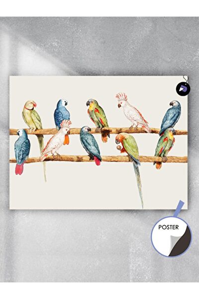 Postermanya Çerçevesiz Tablo