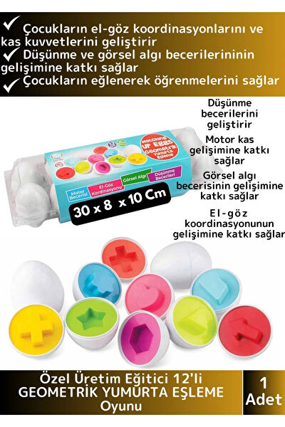 Wintoup Eğitici Oyuncaklar