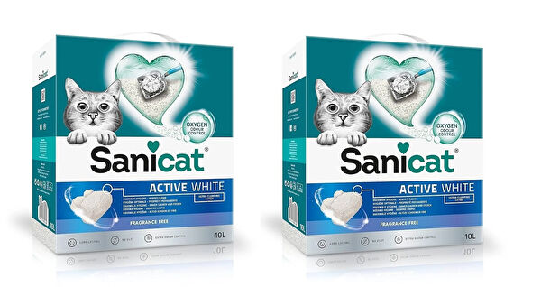 Sanicat Kedi Kumları