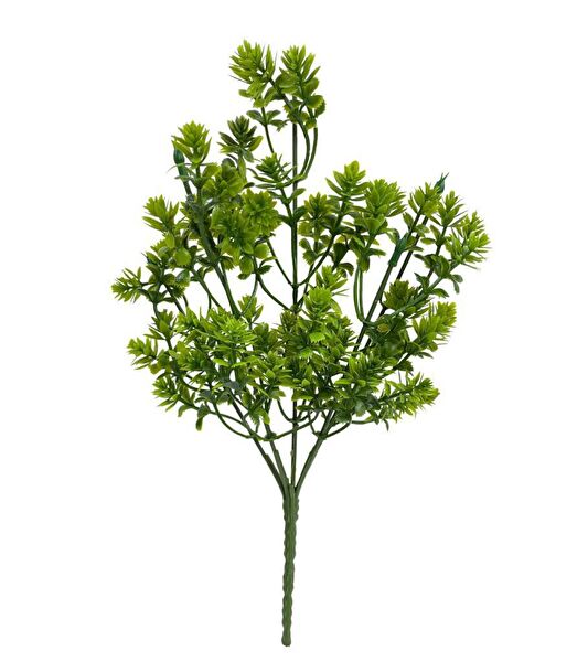 Nettenevime Yapay Çiçek, Meyve