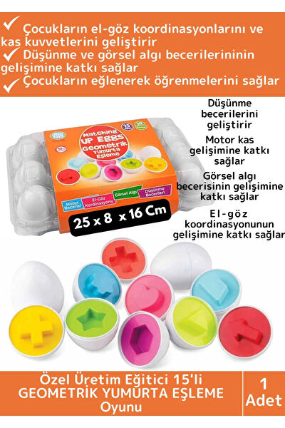 Wintoup Eğitici Oyuncaklar