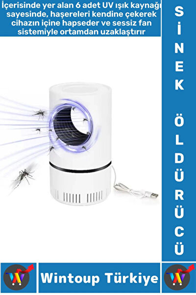 Wintoup Sinek Kovucu Ampul