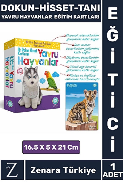 Wintoup Eğitici Oyuncaklar