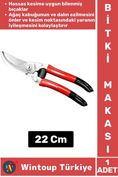 Wintoup Budama Makası