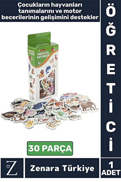 Wintoup Eğitici Oyuncaklar