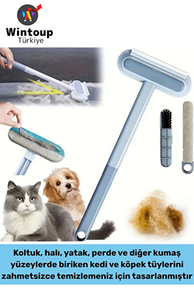 Wintoup Kedi Tarak, Fırça, Makas