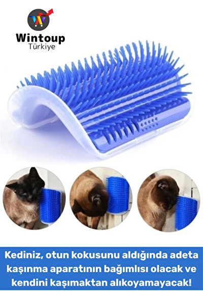 Wintoup Kedi Tarak, Fırça, Makas