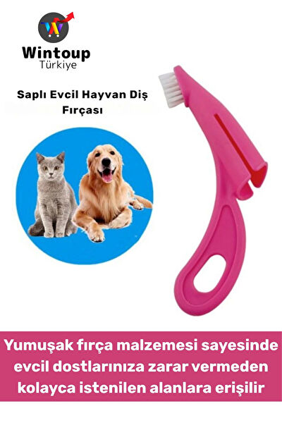 Wintoup Köpek Sağlık & Bakım Malzemeleri