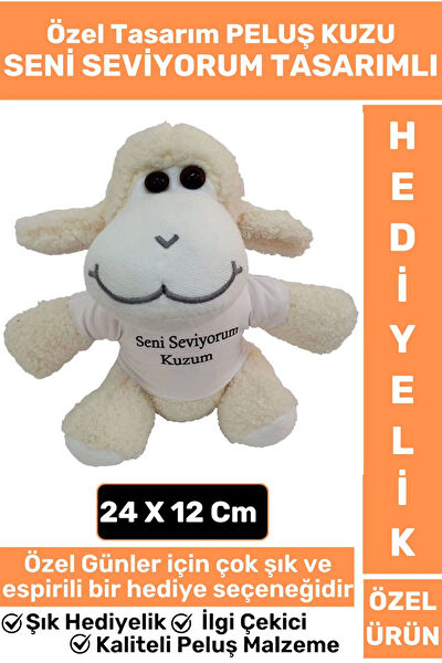 Wintoup Hediyelik Ürün