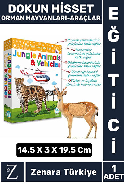 Wintoup Eğitici Oyuncaklar