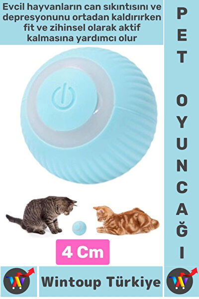 Wintoup Kedi Oyuncakları