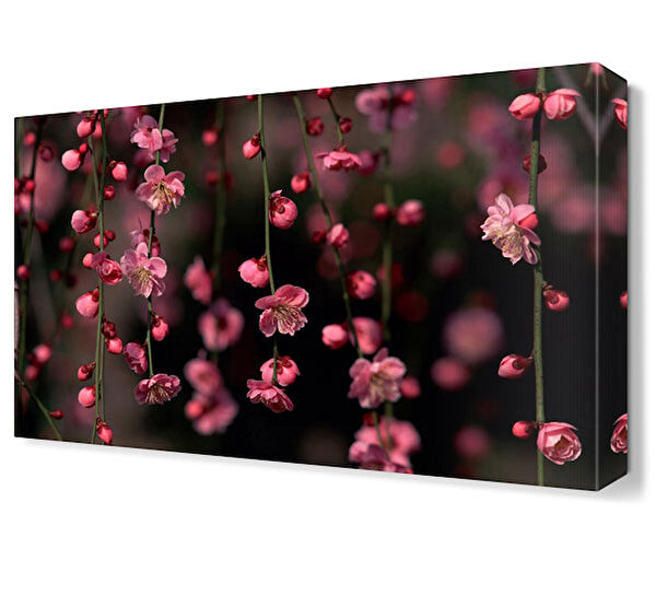 Dekor Sevgisi Kanvas Tablo