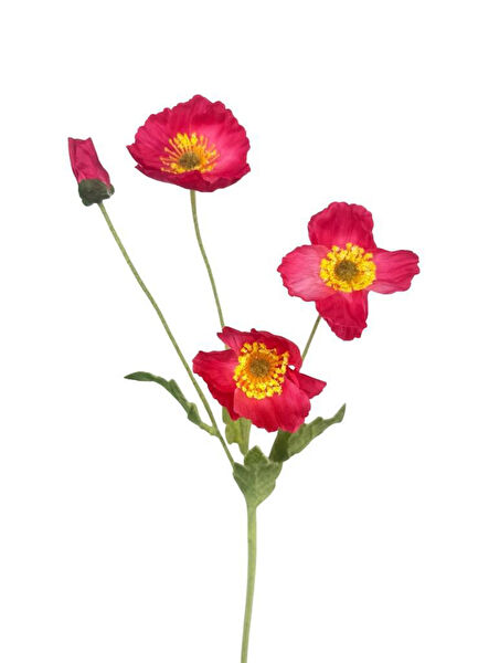 Nettenevime Yapay Çiçek, Meyve