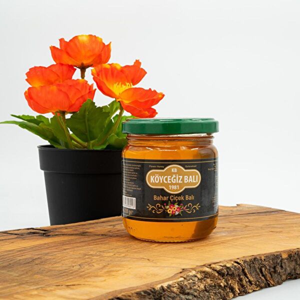 Köyceğiz Balı Bal