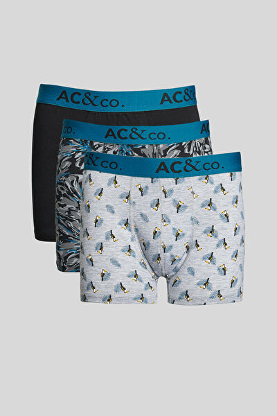 AC&Co / Altınyıldız Classics Erkek Boxer, Slip, Külot