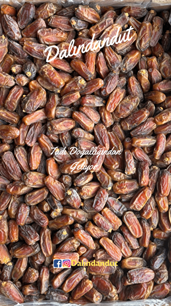 Dalındandut Hurma