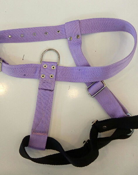 GEZER AKVARYUM PETSHOP Köpek Tasmaları