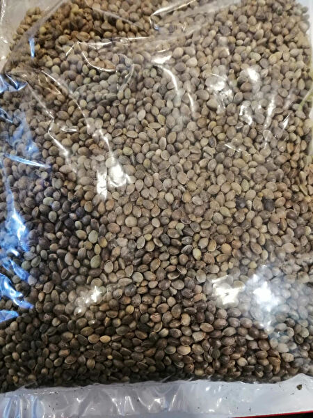 GEZER AKVARYUM PETSHOP Kuş Yemi, Kraker