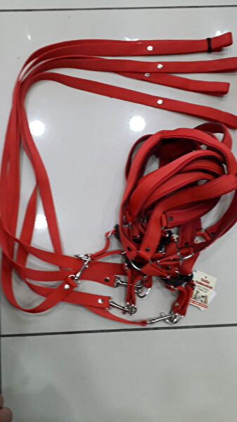 GEZER AKVARYUM PETSHOP Köpek Tasmaları