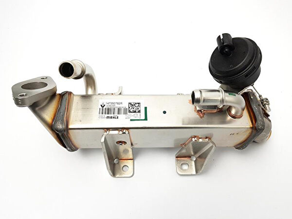 Renault Mais EGR Valfi