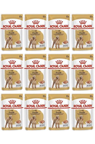 Royal Canin Köpek Maması