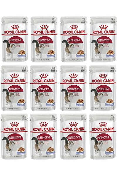 Royal Canin Kedi Maması