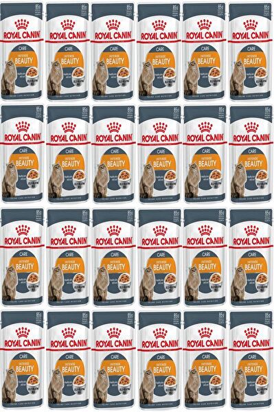 Royal Canin Kedi Maması