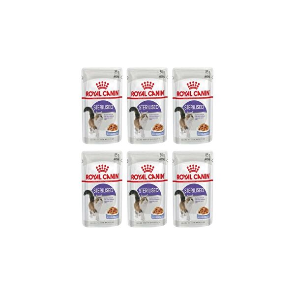 Royal Canin Kedi Ödülleri