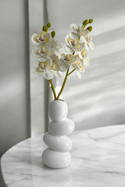 Paradise Work Vazo, Saksı