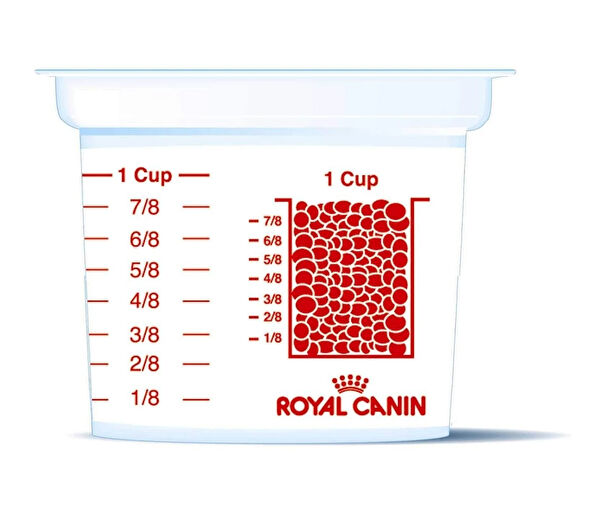 Royal Canin Köpek Mama ve Su Kapları
