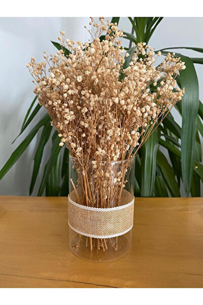 pixiperi Vazo, Saksı