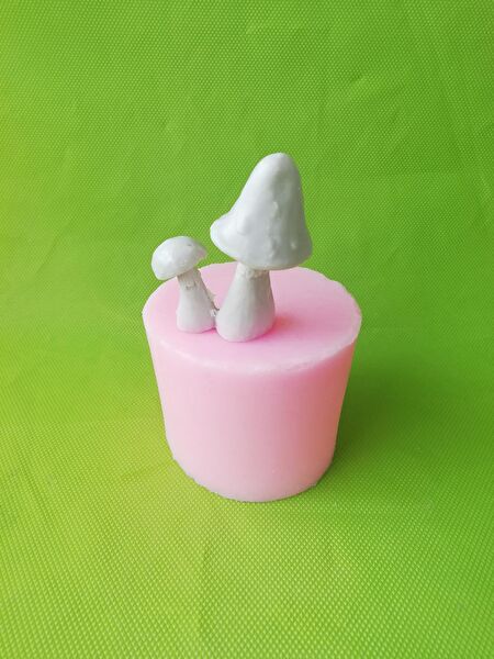 AnkaHobiMarket Pasta, Kek Kalıbı