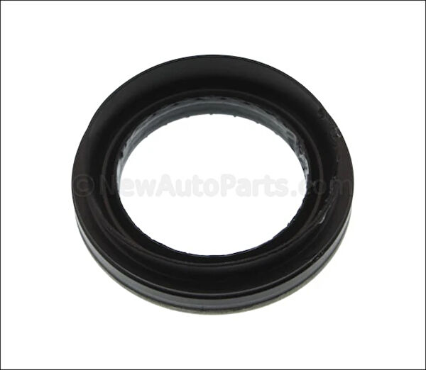 Renault Mais Aks Körük & Kafası