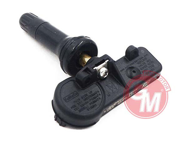 GUALTIERO Sensör, Dedektör