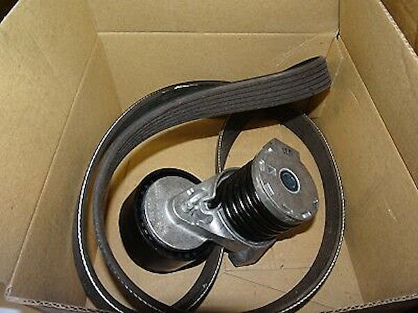 Renault Mais V Kayışı