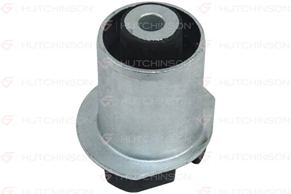 Hutchinson Torsiyon Burcu