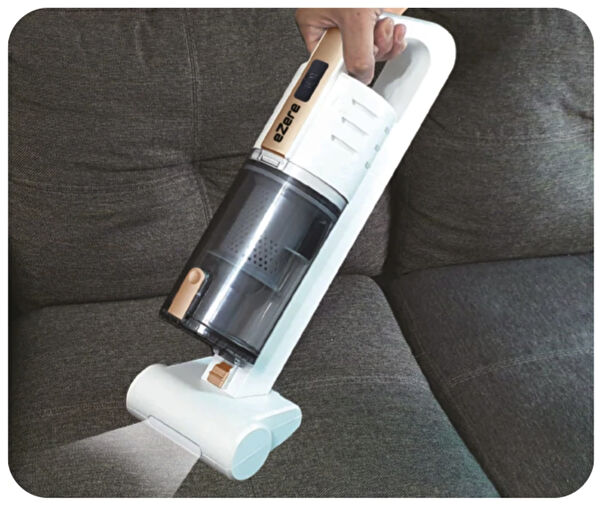 Bowie Araç Süpürgeleri