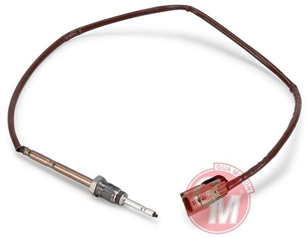 GUALTIERO Sensör, Dedektör