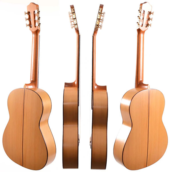 Kiraz Çiçeği Butik Gitar