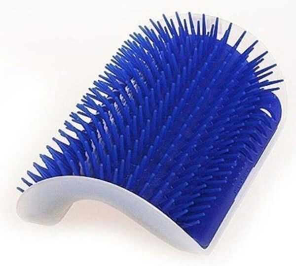 Noxsa Kedi Tırmalama