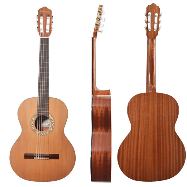 Kiraz Çiçeği Butik Gitar