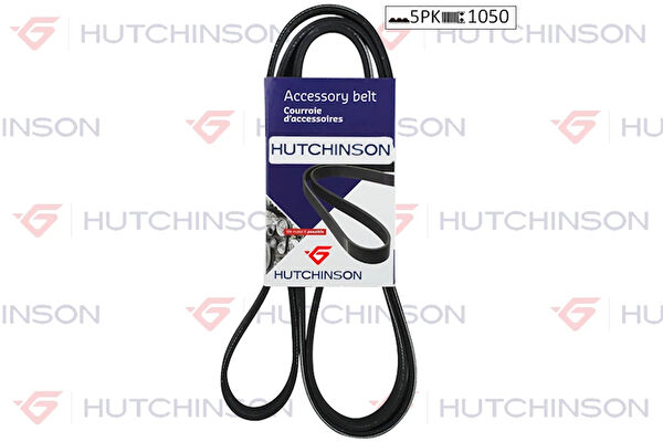 Hutchinson V Kayışı