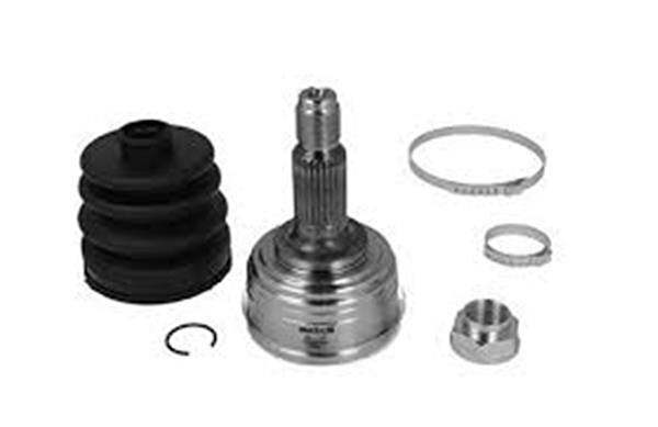 Riwa Aks Körük & Kafası