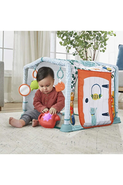 FISHER PRICE Bebek Oyuncakları