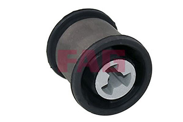 Fag Aks Körük & Kafası