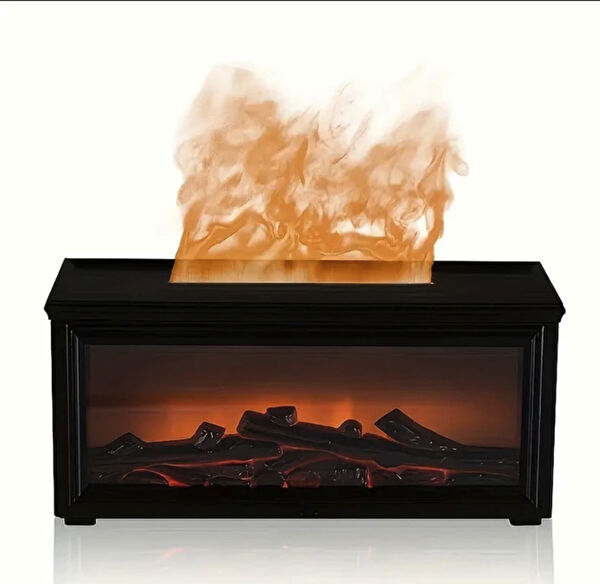 Bowie Hava Temizleme ve Nem Alma Cihazları